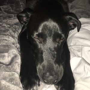 Meet your Posher, Jordan